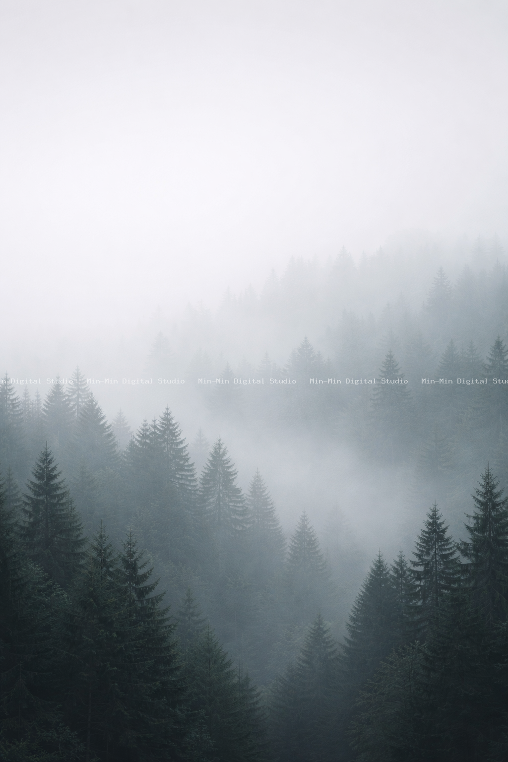Foggy forest - empty sky space at top